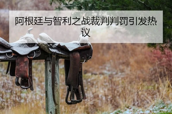 阿根廷与智利之战裁判判罚引发热议